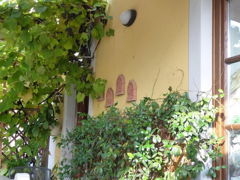 B&B Il Casale Di Nanni Lucca Bagian luar foto