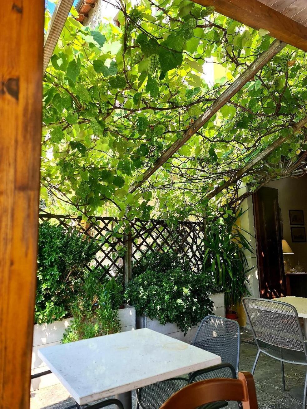 B&B Il Casale Di Nanni Lucca Bagian luar foto